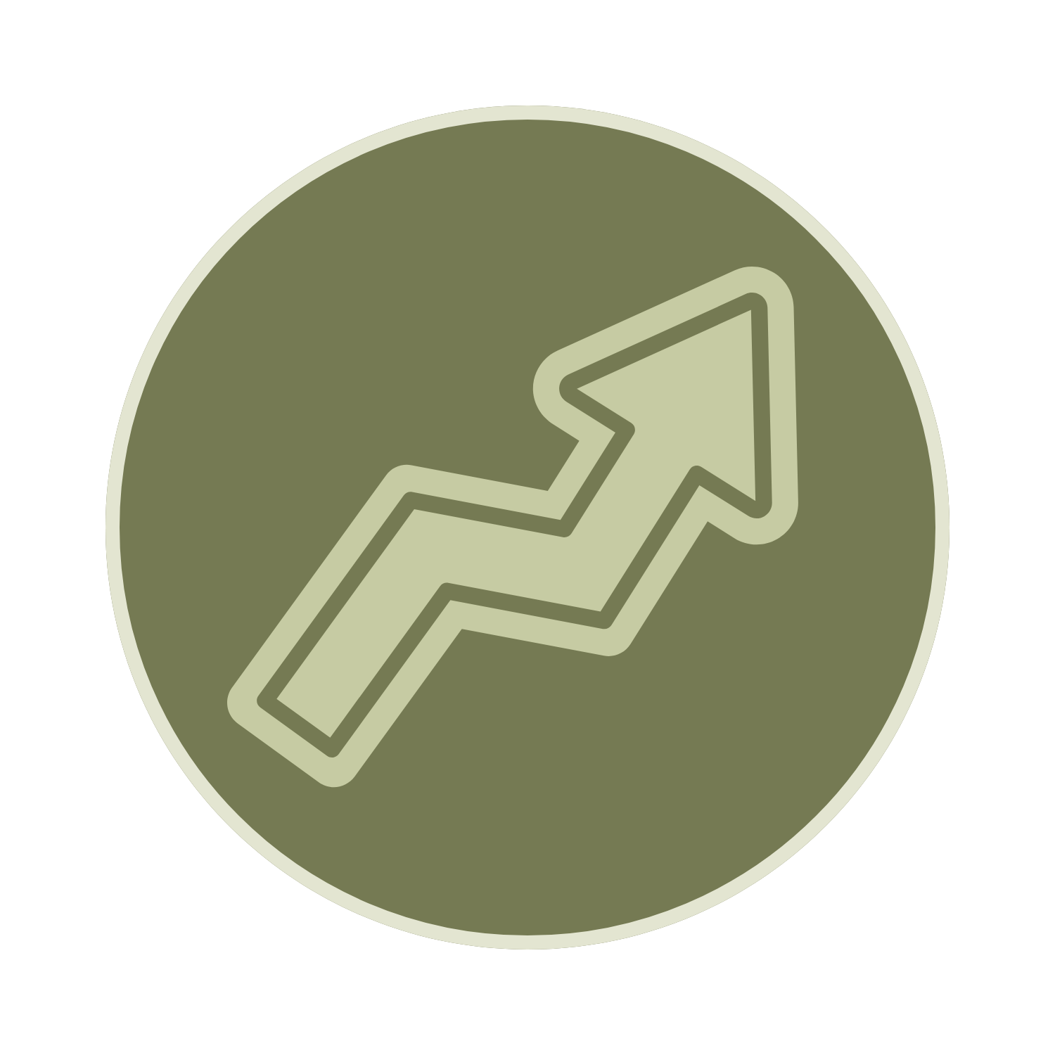 Scroll to Top
