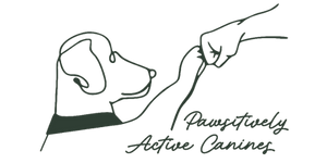 Pawsitively Active Canines