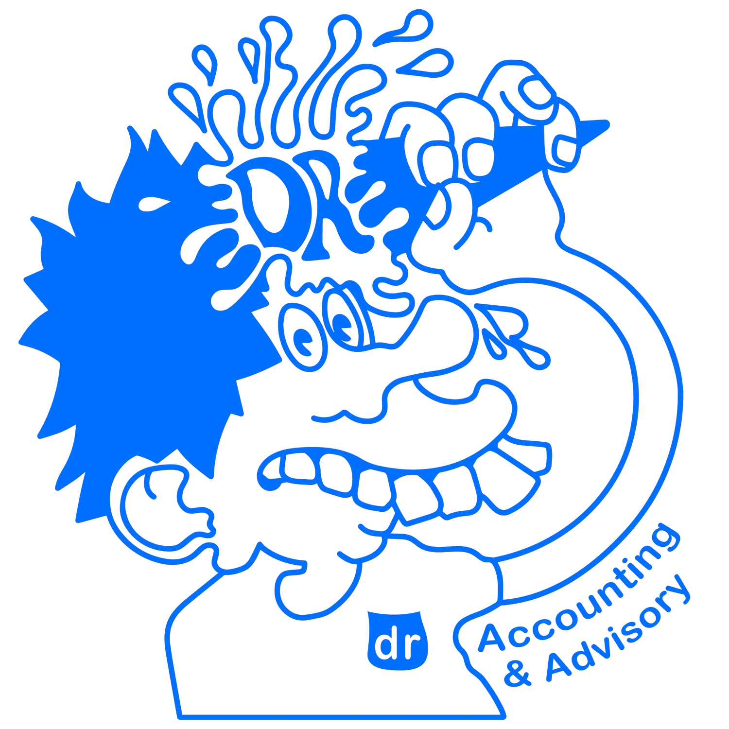 Data Reprise | Outsourced CFO, Accounting, &amp; Analytics Services