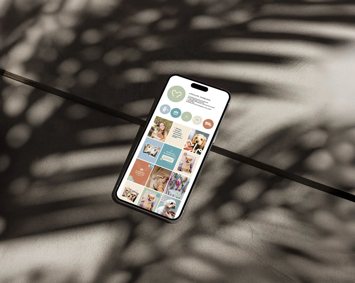 Un smartphone sur une surface en béton, avec des ombres de feuilles projetées dessus, affichant le feed Instagram de "Le chemin d'Elo"