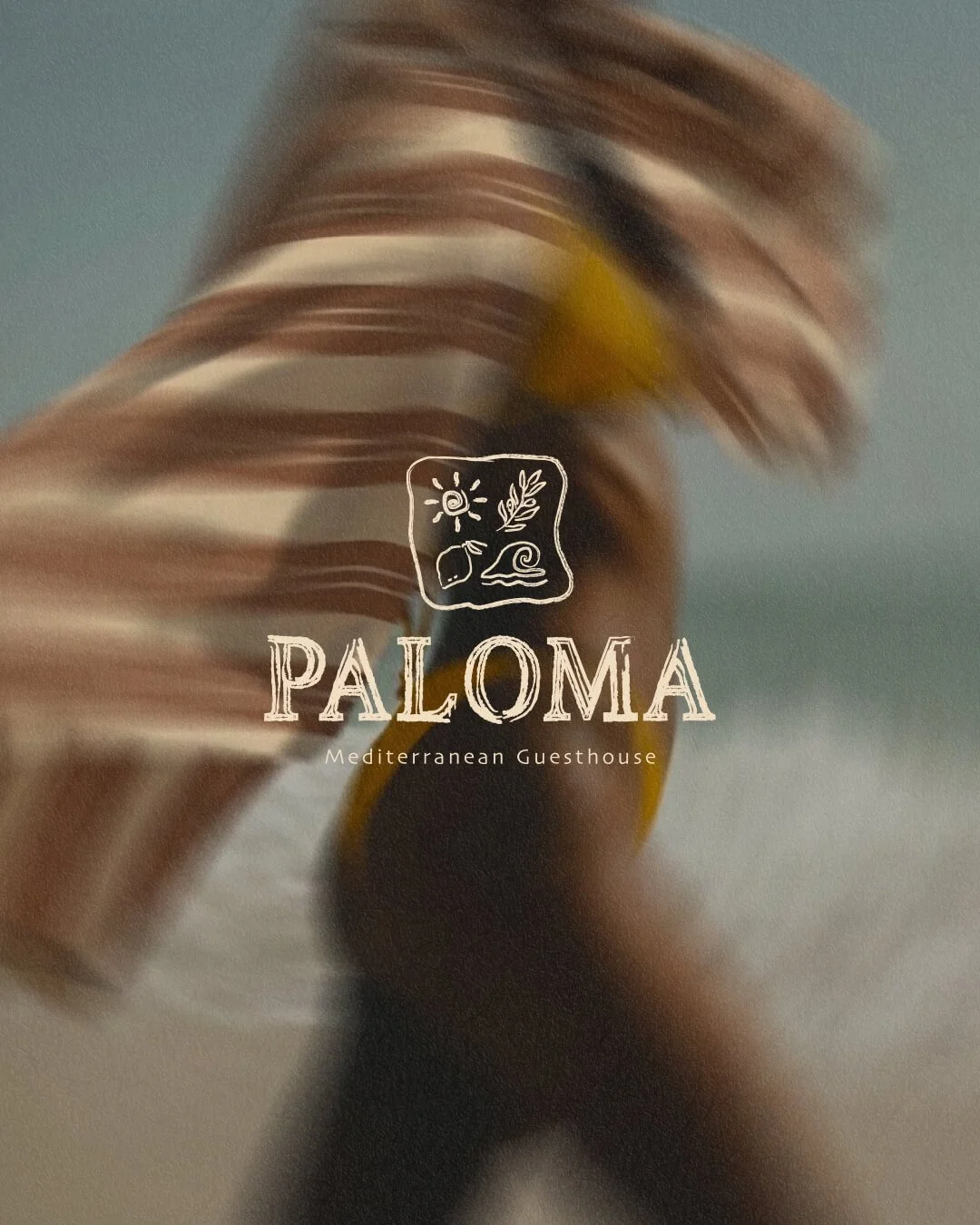 Paloma - Identité visuelle pour une maison d'hôtes méditerranéenne