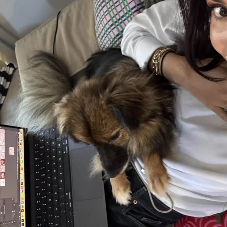 Une femme avec un chien de race berger australien sur ses genoux, assise près d'un ordinateur portable