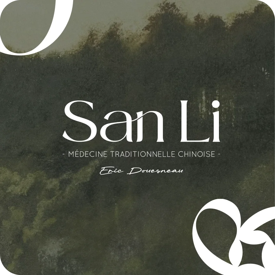 Couverture d'un livre intitulé 'San Li' sur la médecine traditionnelle chinoise, écrit par Eric Douzneau, avec un fond de forêt ou de nature avec des arbres en silhouette.