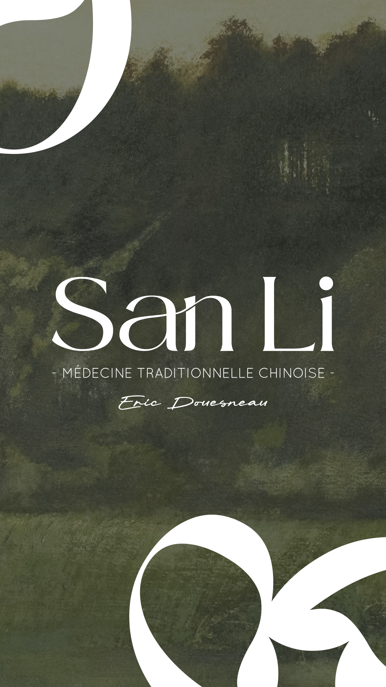 Couverture de livre sur la médecine traditionnelle chinoise, intitulée 'San Li' par Éric Dousneau, avec un fond vert et des motifs floraux blancs.