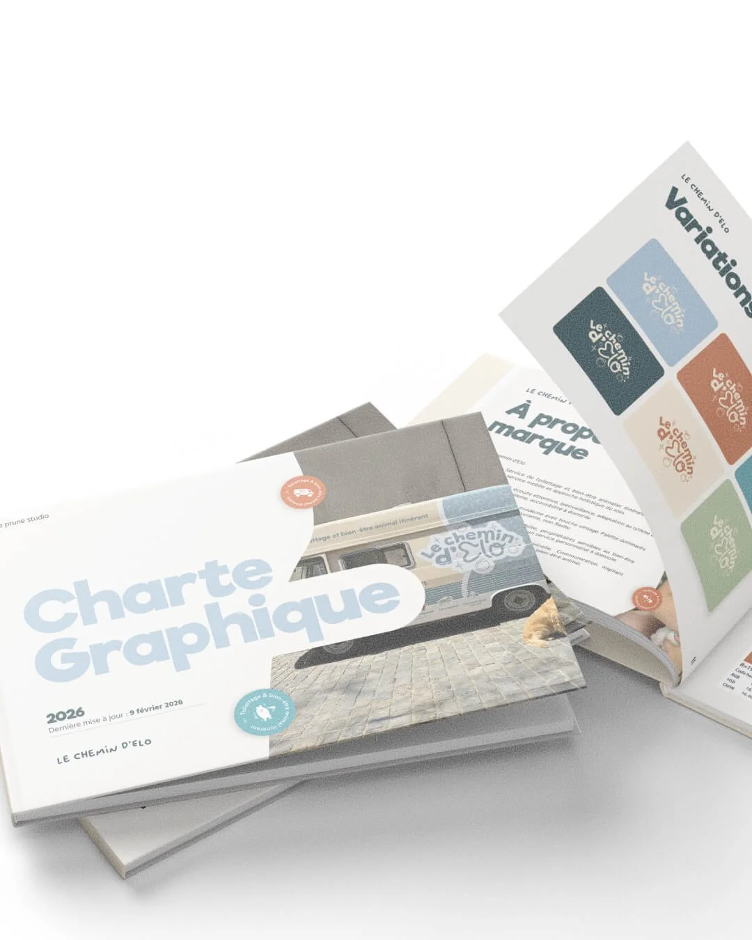 Charte graphique imprimée, avec une brochure intitulée 'charte graphique' et un document avec des variations de logo.