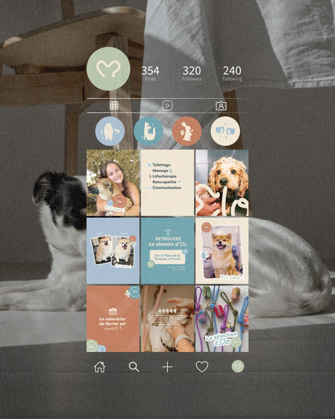 Capture d'écran d'un profil Instagram avec des images et des icônes liés aux animaux de compagnie, notamment des chiens. Il y a des sections sur les soins pour animaux, une invitation à retrouver un chemin, et une sélection de produits pour chiens.