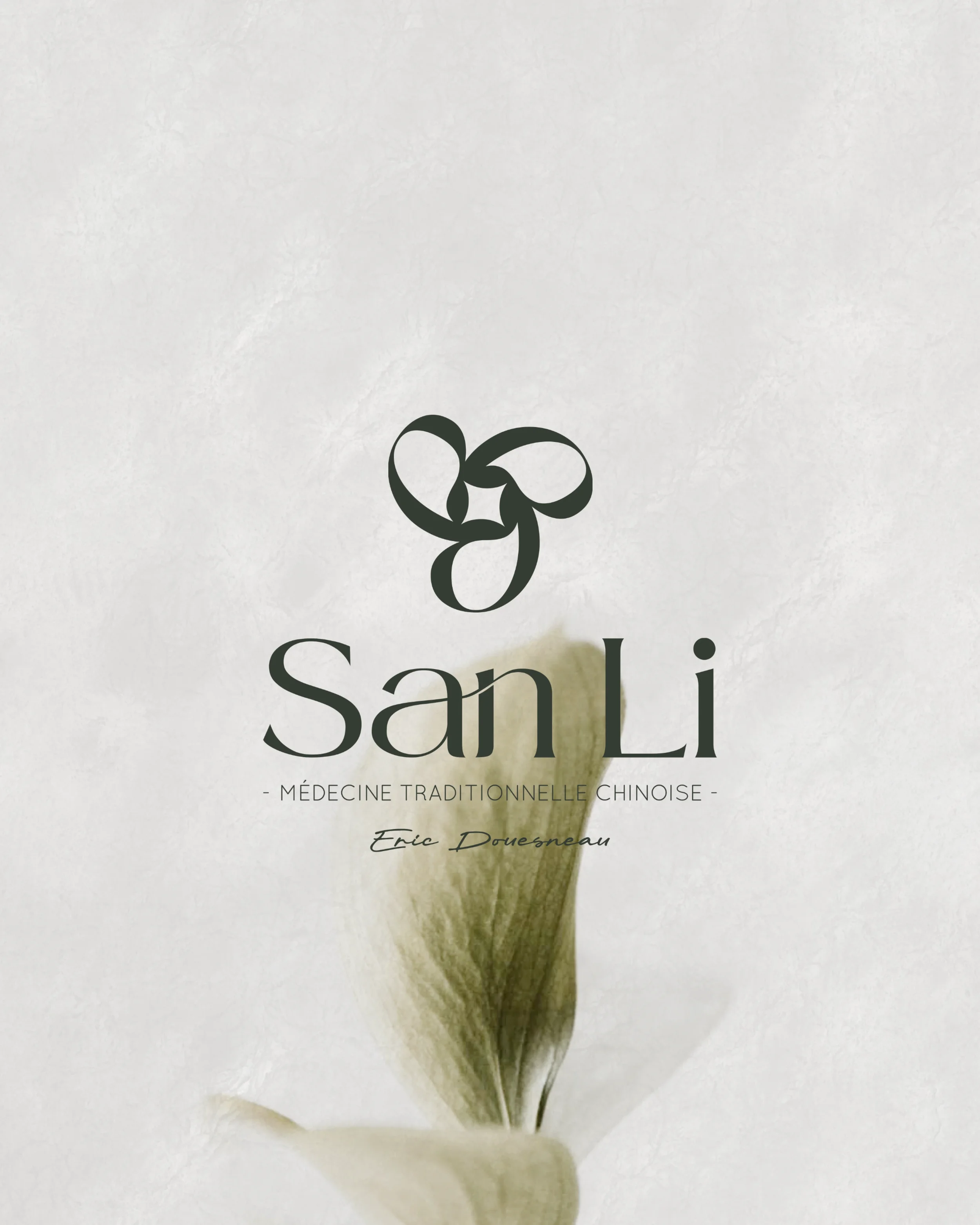 Logo avec un symbole abstrait et le texte 'San Li - Médecine Traditionnelle Chinoise - Eric Douvreau' sur un fond blanc avec une feuille délicate en arrière-plan.