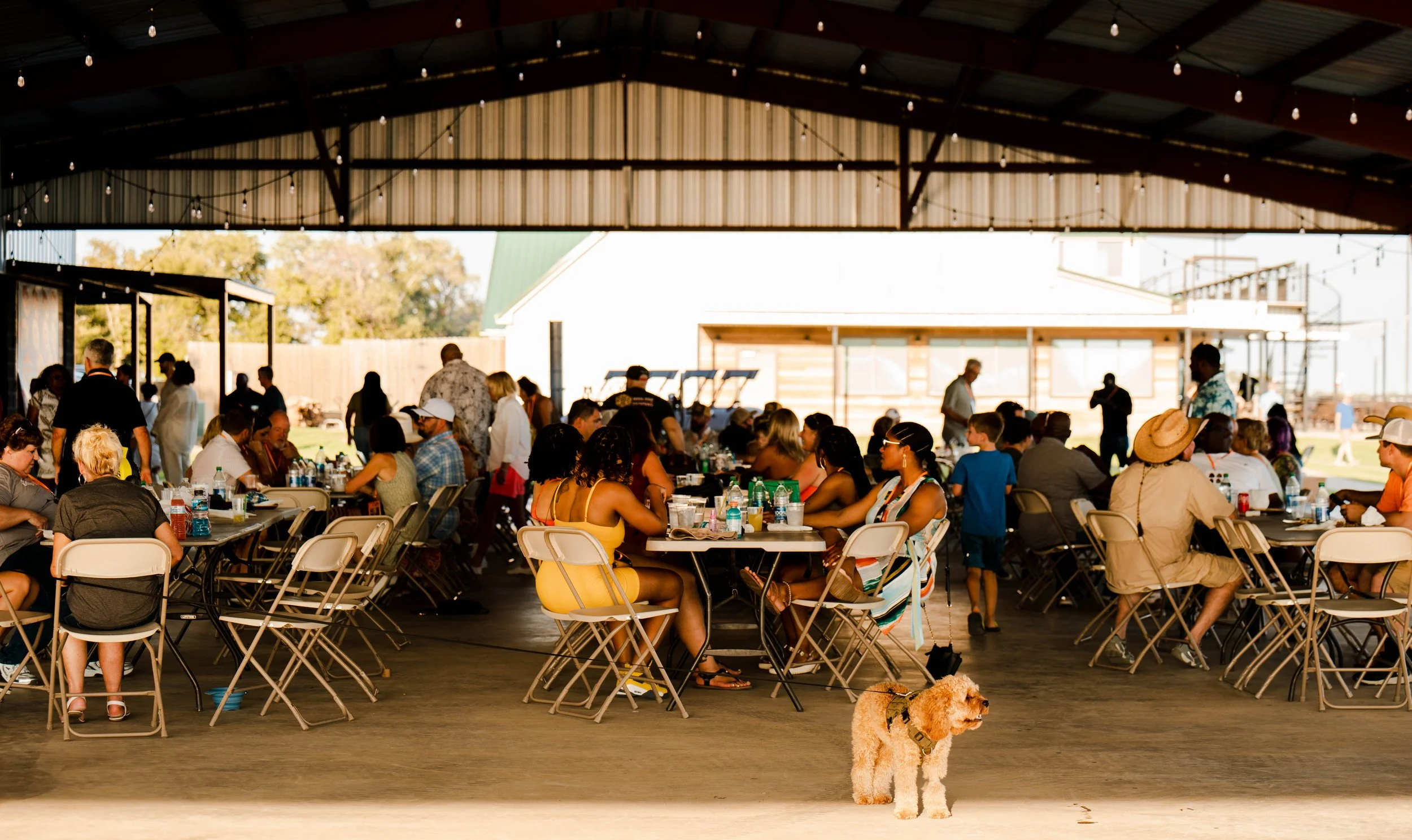 rasheed philips_Grill and Chil Fest_Food.crowd-7405305.jpg
