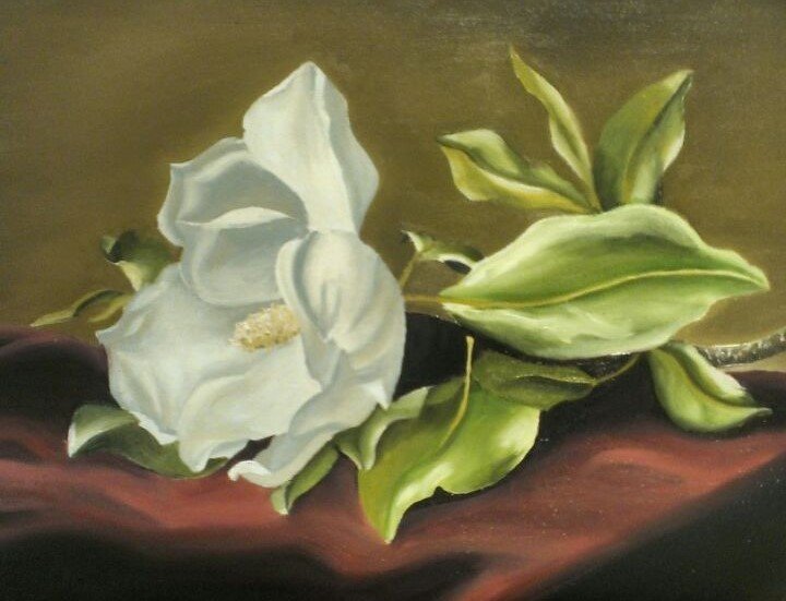 oil paint - magnolia.jpg