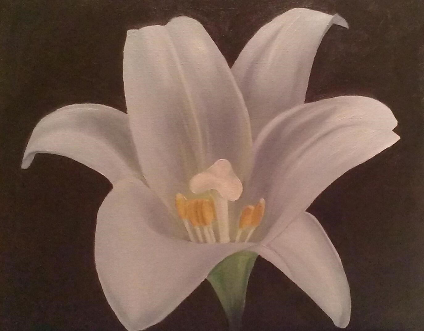 oil paint - lily.jpg