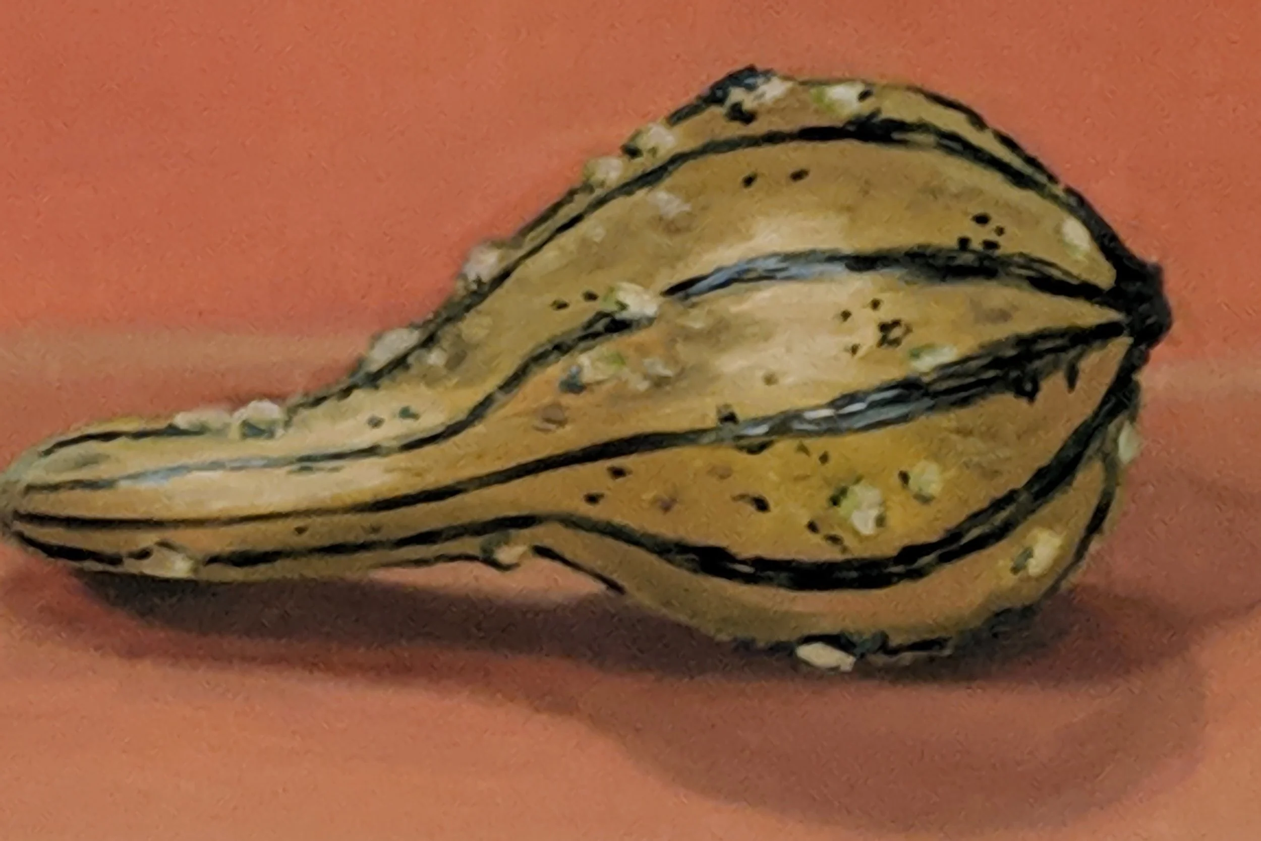 oil paint - gourd.jpg