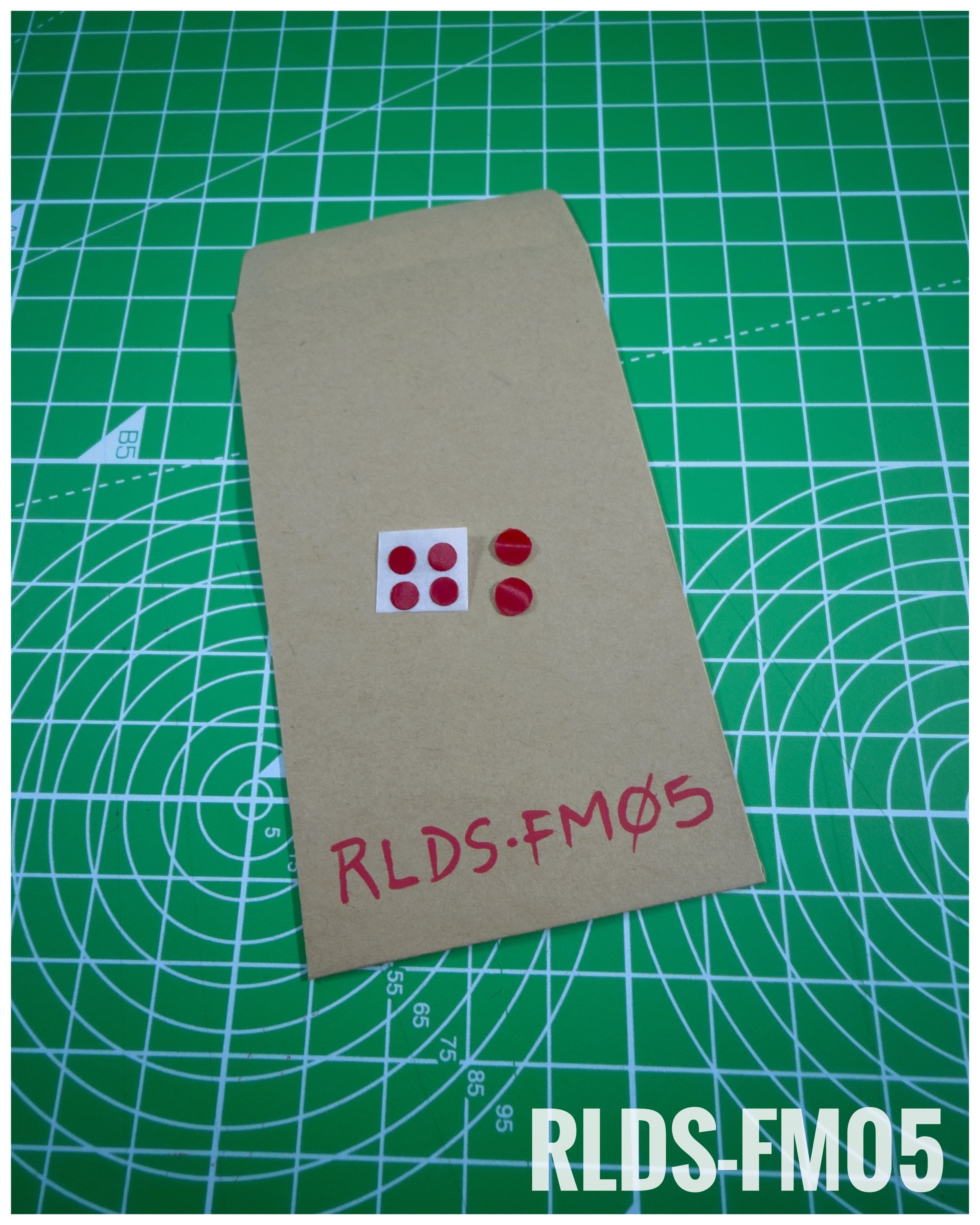 RLDS-FM05 stickers for Fantastic Model FM-05 Rambo.