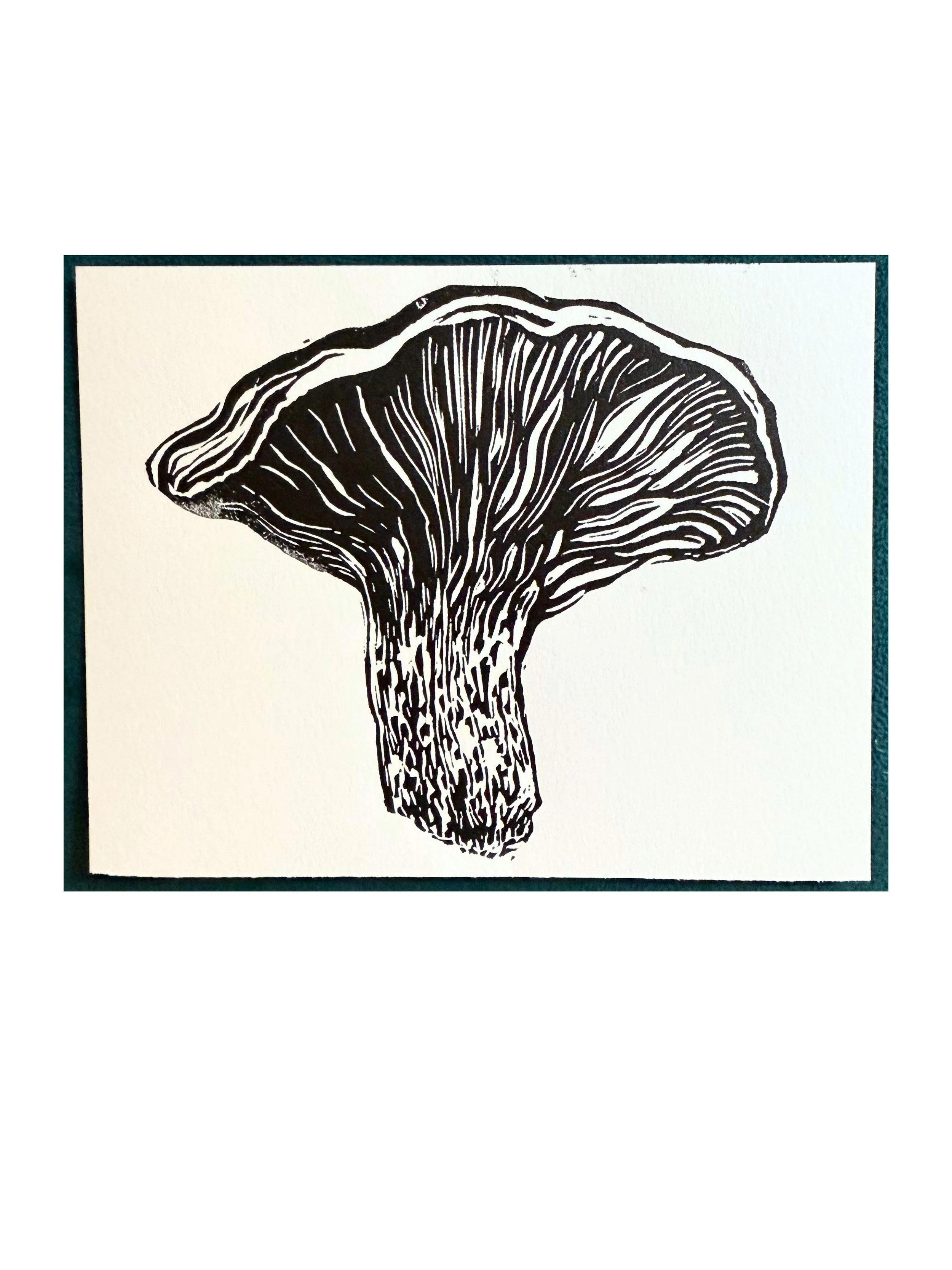 Mushroom Studies 2