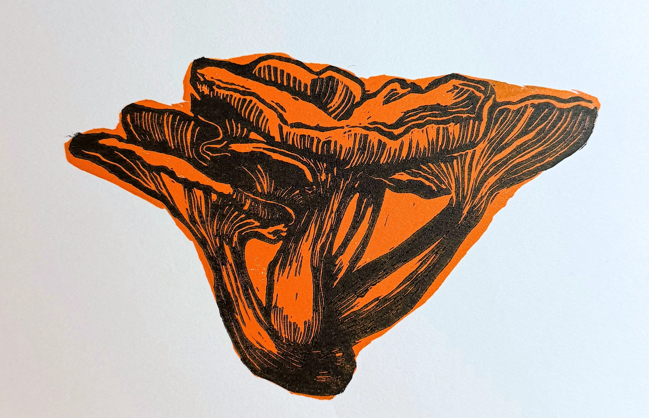 Orange Jack-O-Lantern Mushrooms