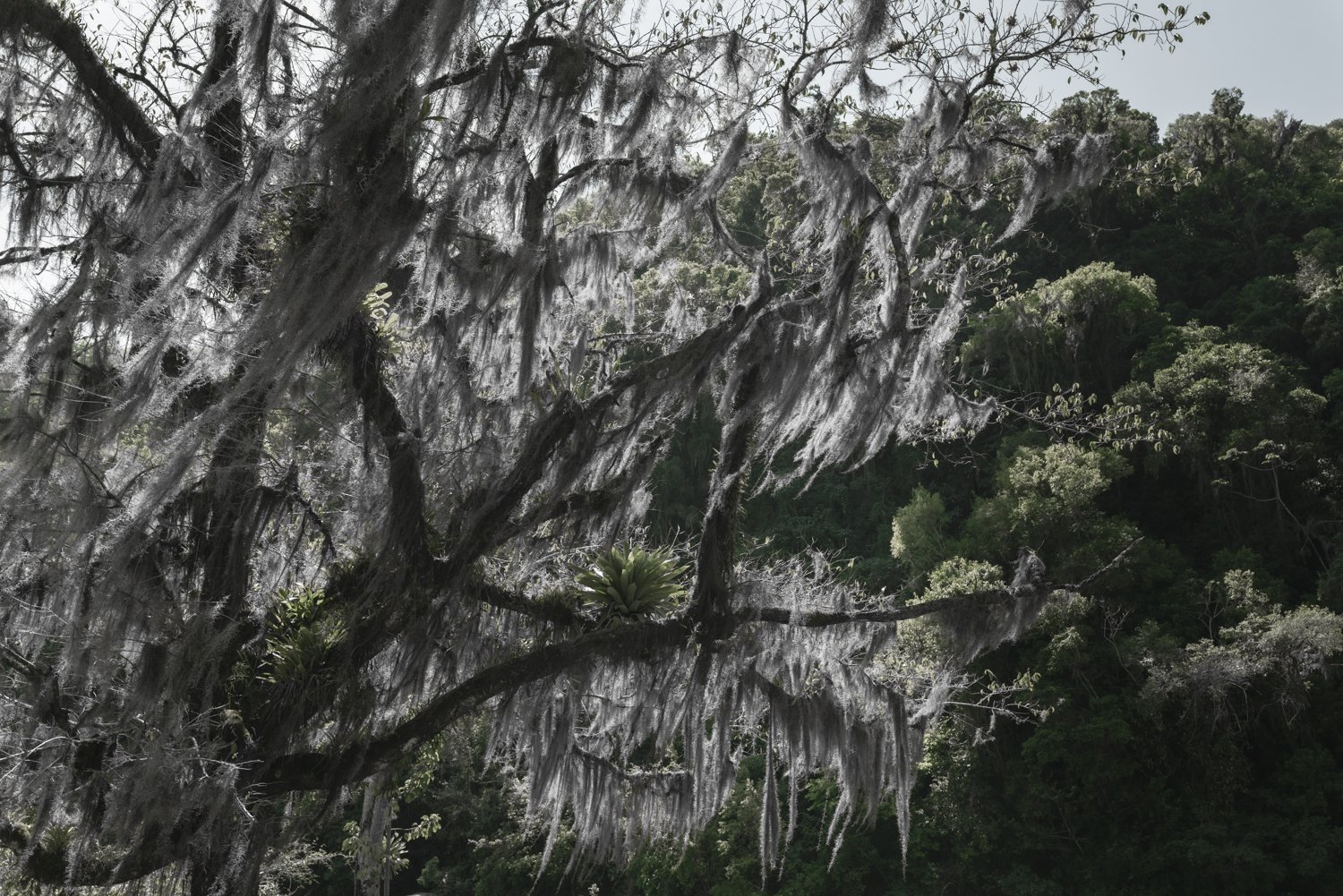 Cambara do Sul, Brasil