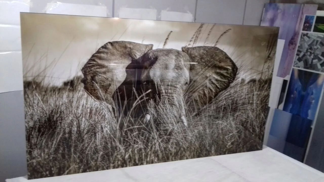 janaina-matarazzo-fine-artelephant and reeds 13.jpeg