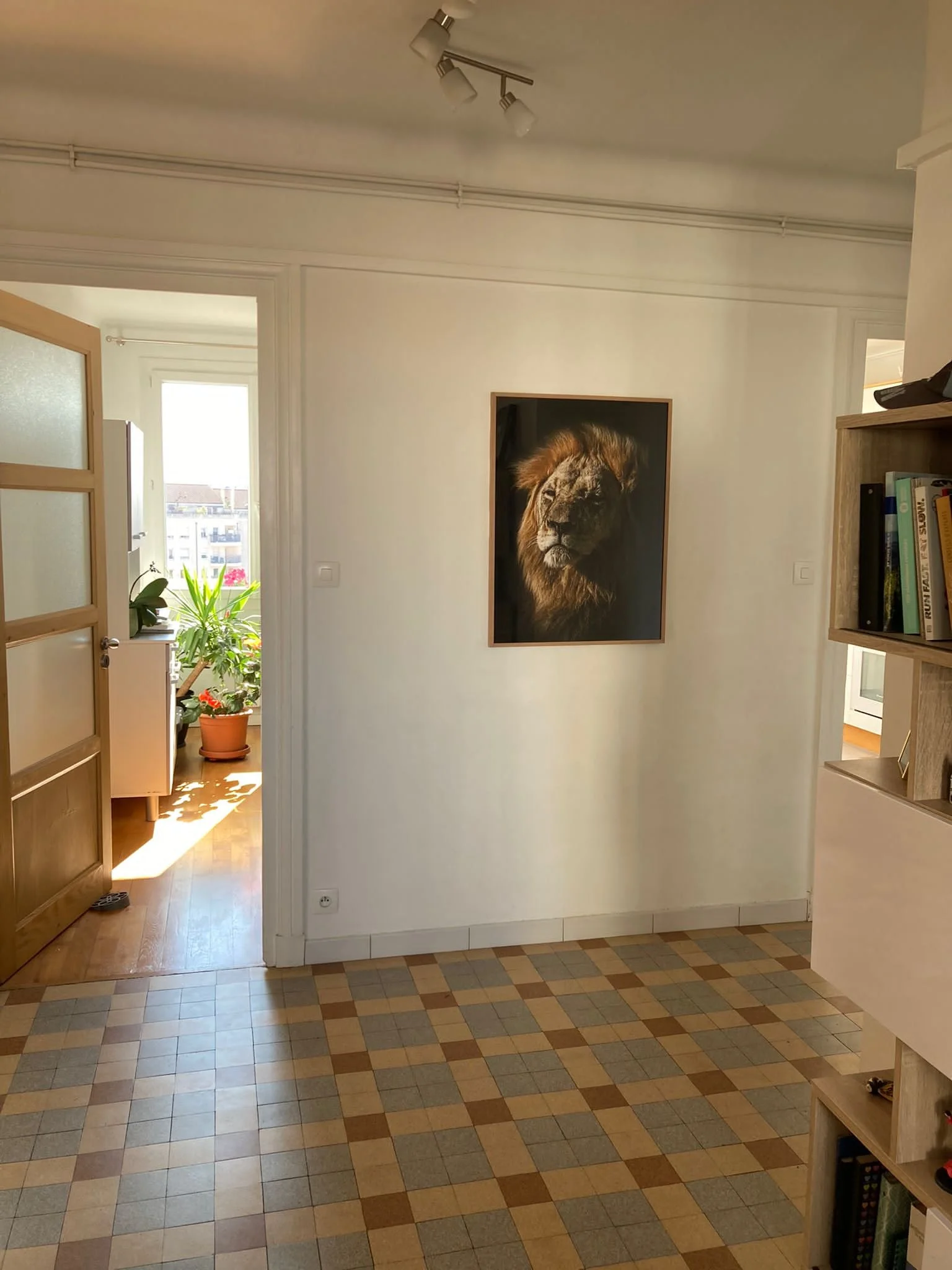 Janaina Matarazzo Lion Deborah.JPG