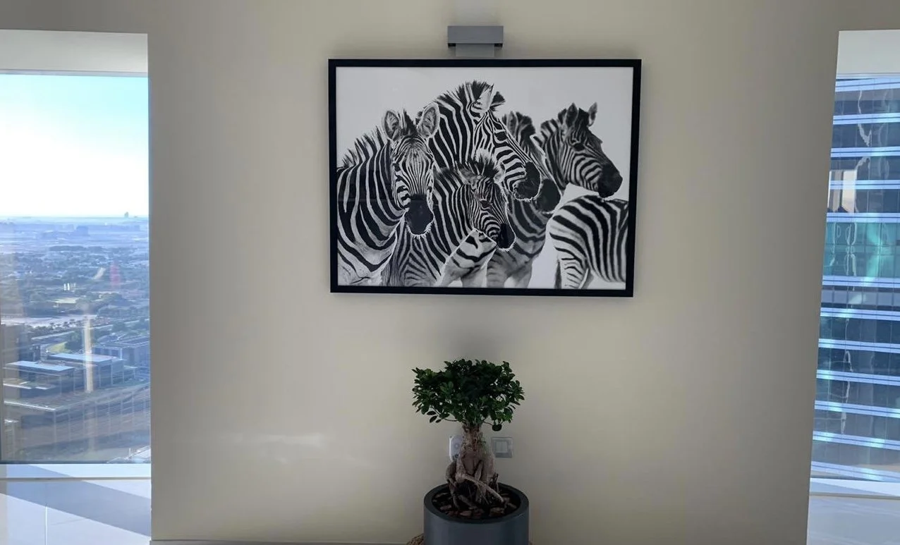 janaina-matarazzo-zebra-stripes-dubai copy.JPG