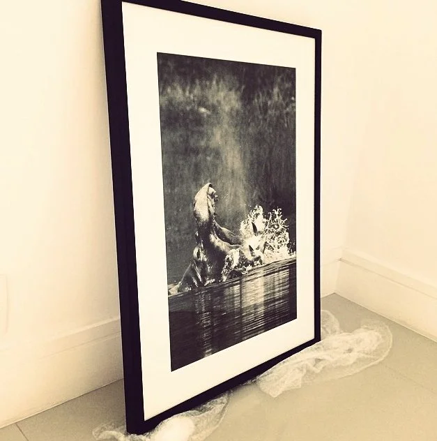 janaina-matarazzo-fine-artphoto hipo.jpg