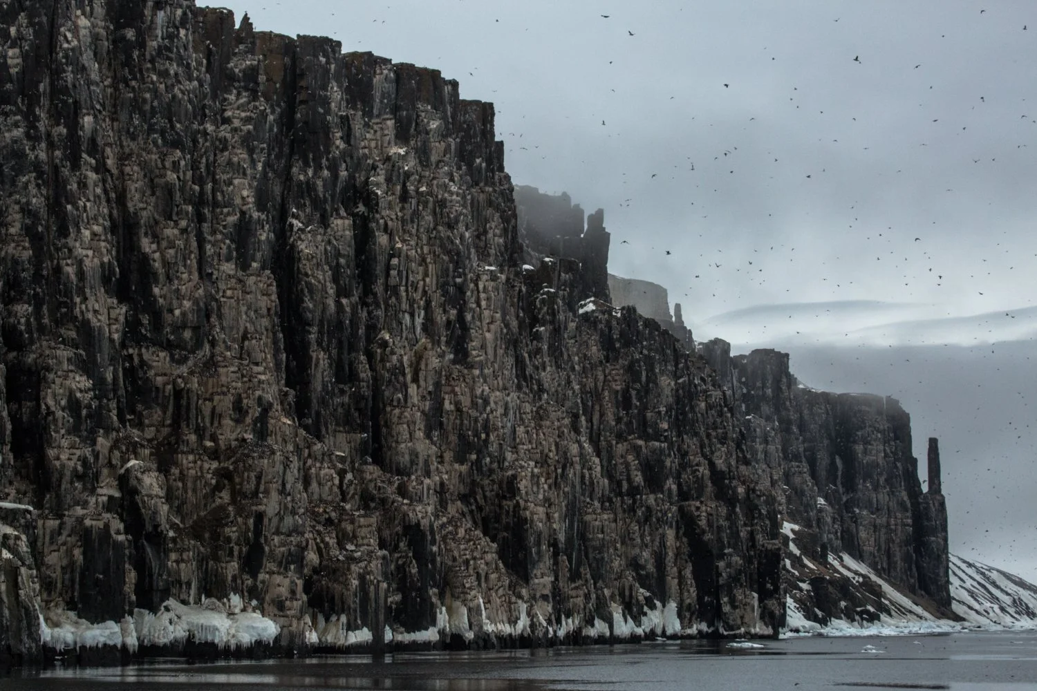 Guillemot Cliff, Svalbard, Arctic 