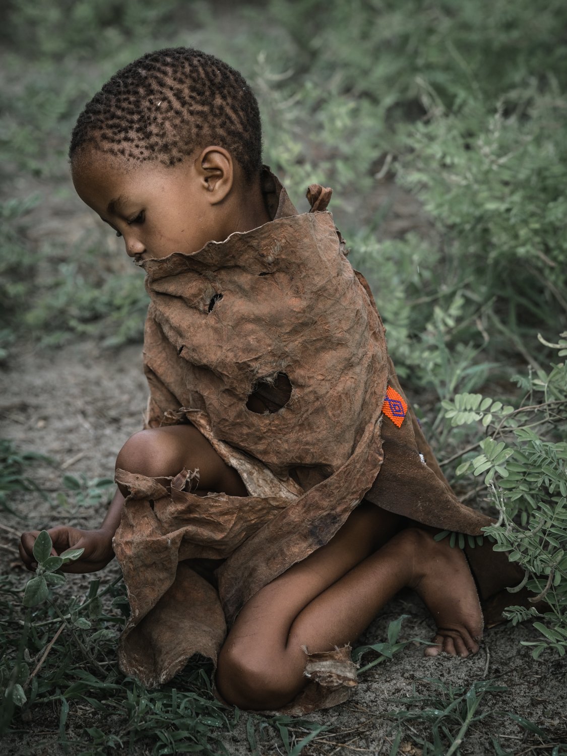 Basarwa, San Bushmen - Botswana