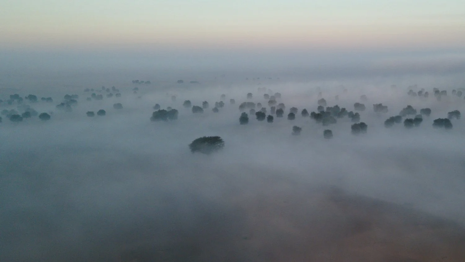 Desert, United Arab Emirates 