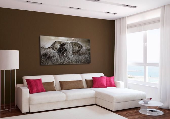 janaina-matarazzo-elephant-reeds 18.jpeg