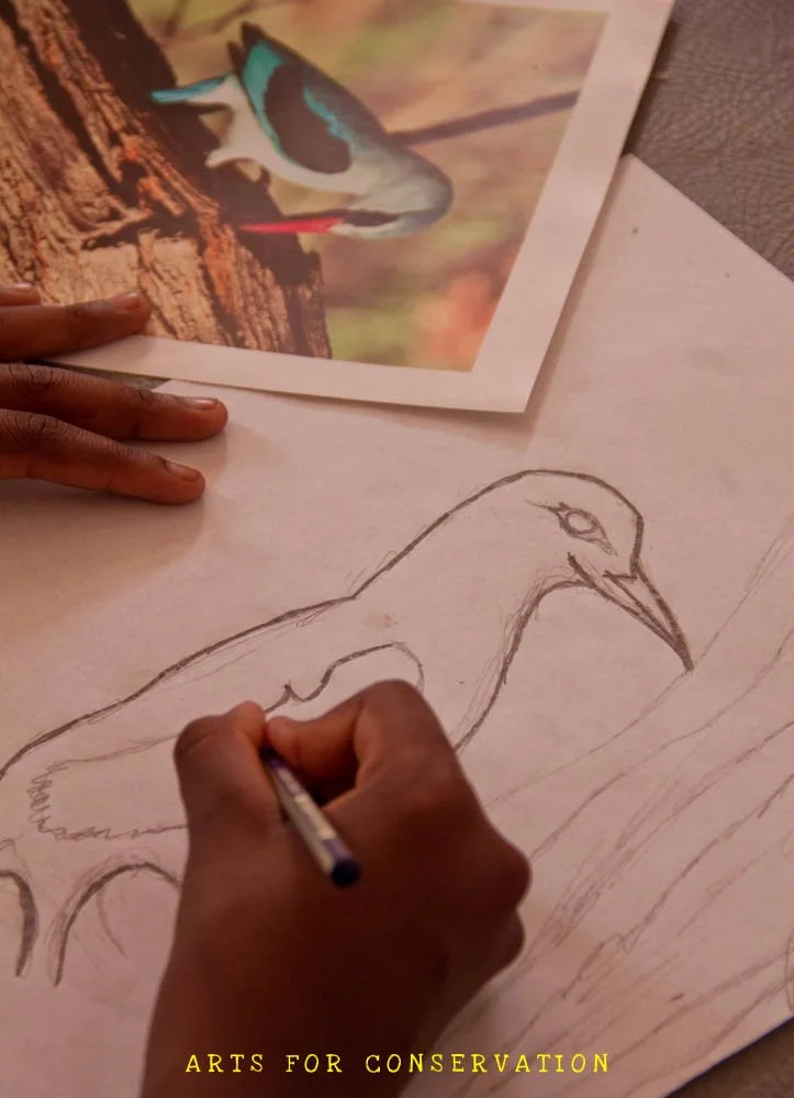 arts-for-conservation-library-18.jpg