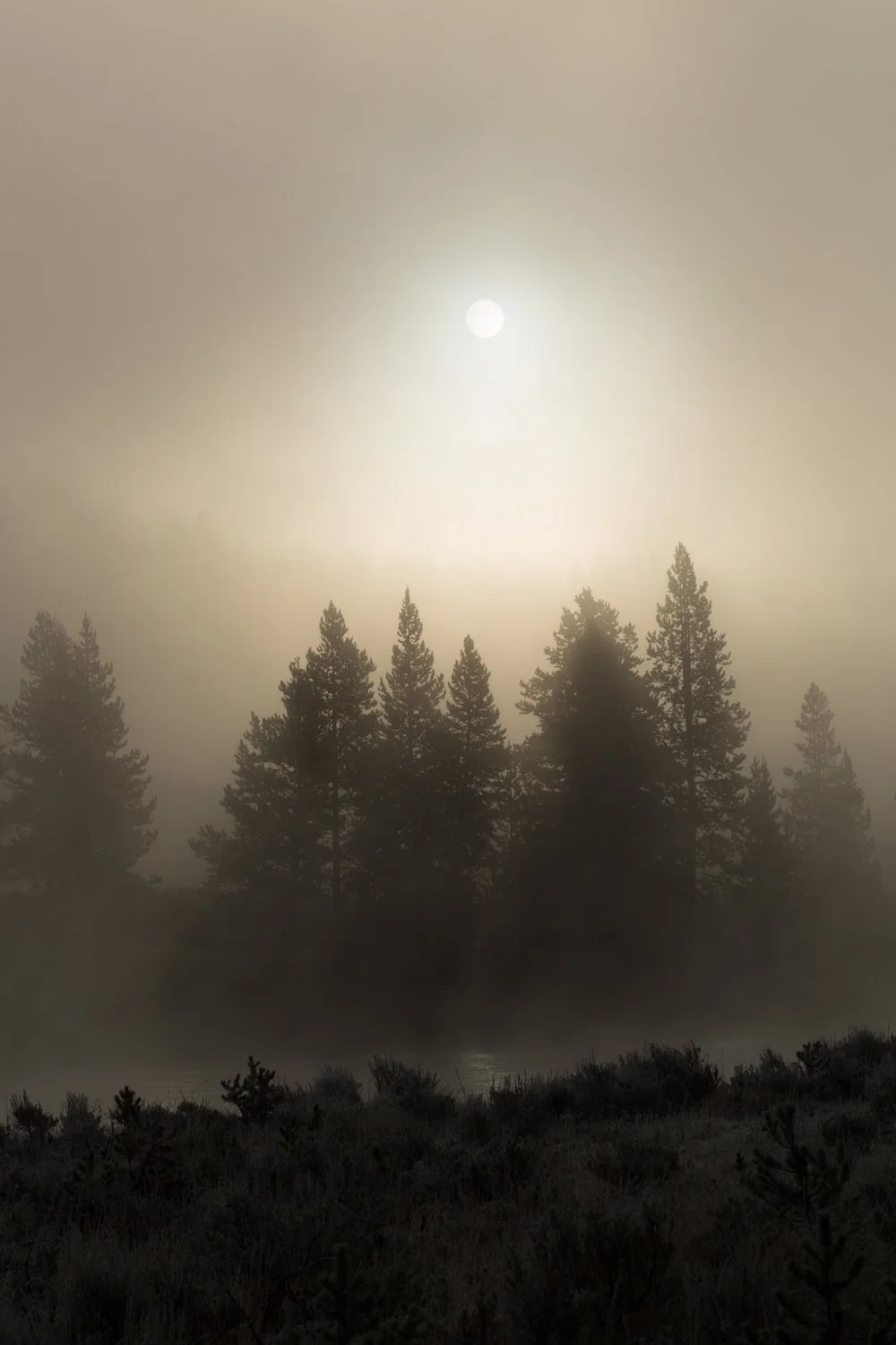 Yellowstone National Park