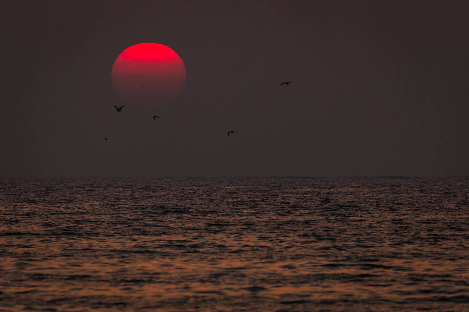 Sunset - United Arab Emirates 