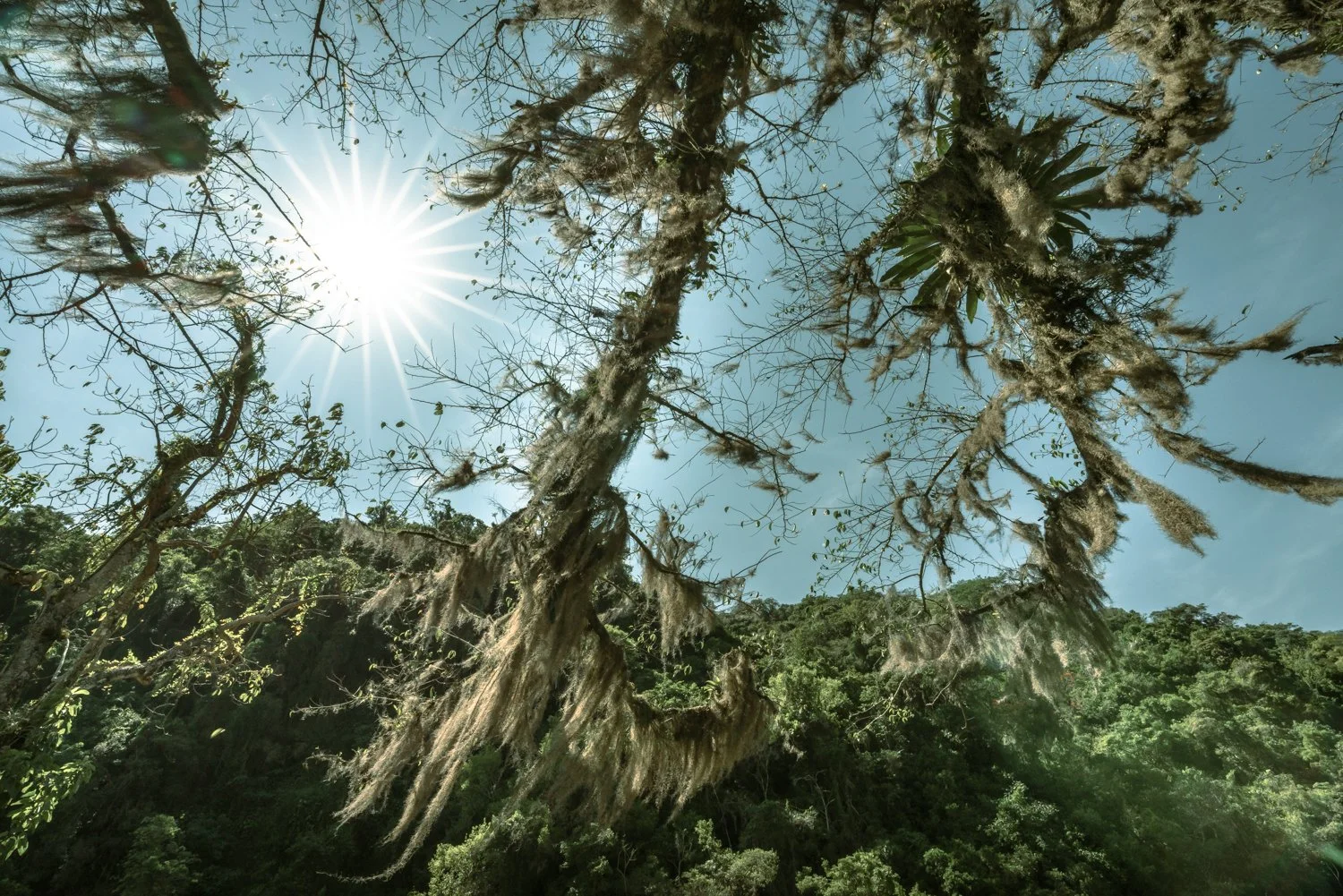 Cambara do Sul, Brasil