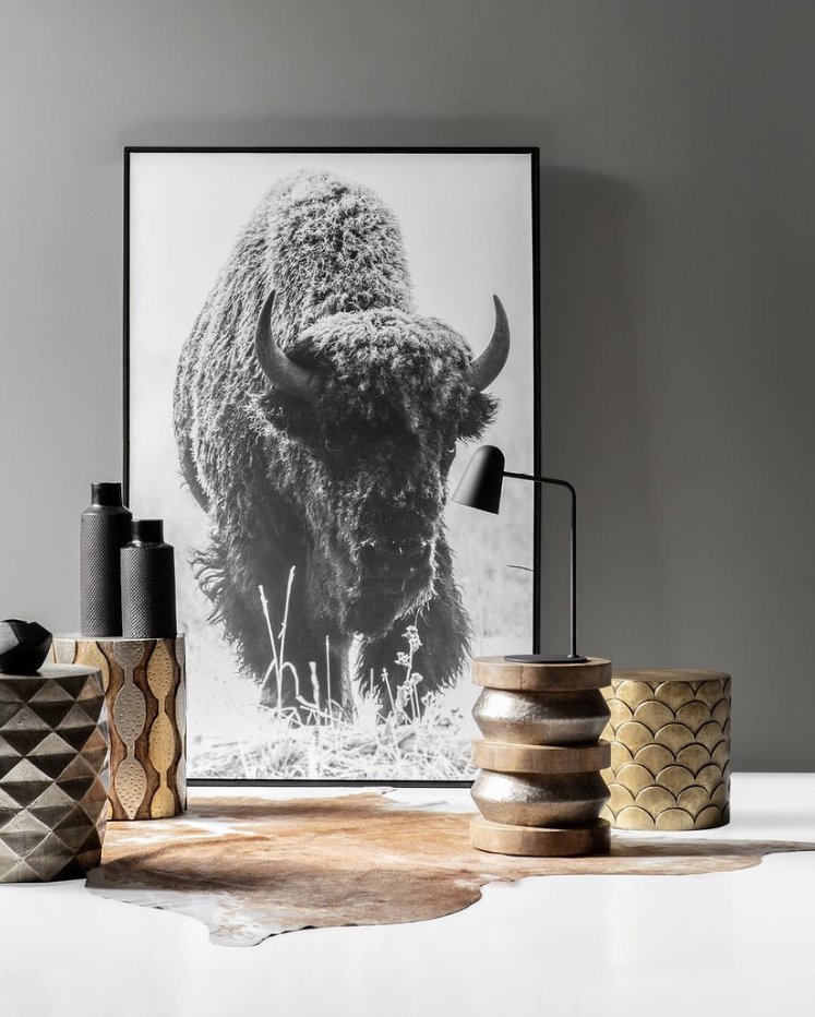 janaina-matarazzo-fine-artwild bison 2.jpg