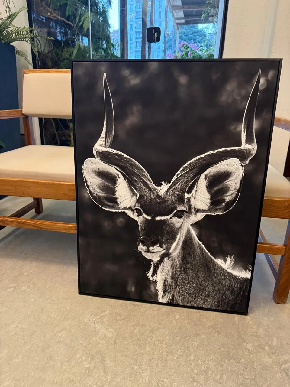 janaina-matarazz-fine-art-kudu-portrait.JPG