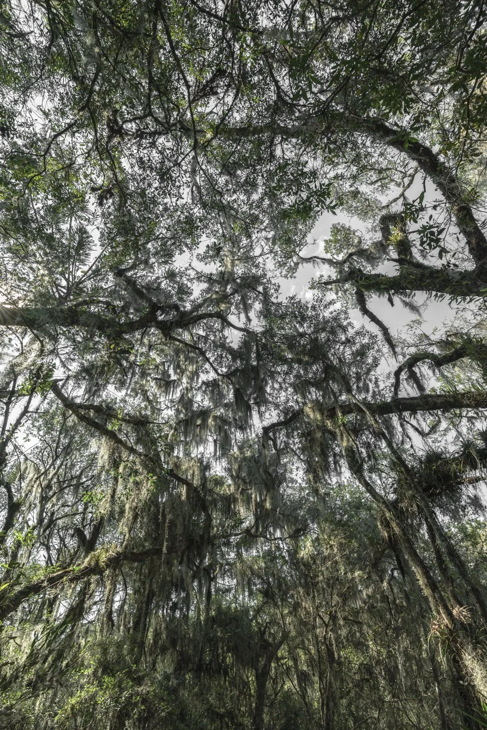 Cambara do Sul, Brasil