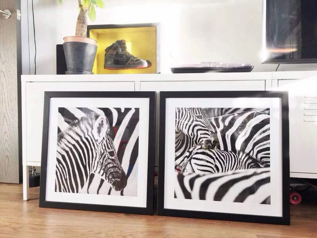 janaina-matarazzo-London Zebra.jpeg