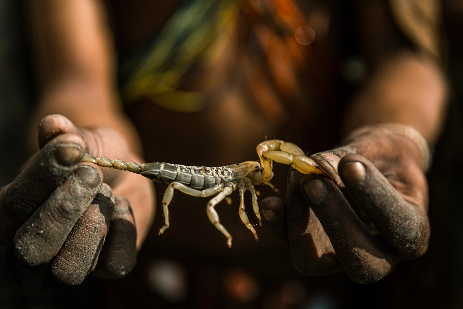 Basarwa, San Bushmen - Botswana
