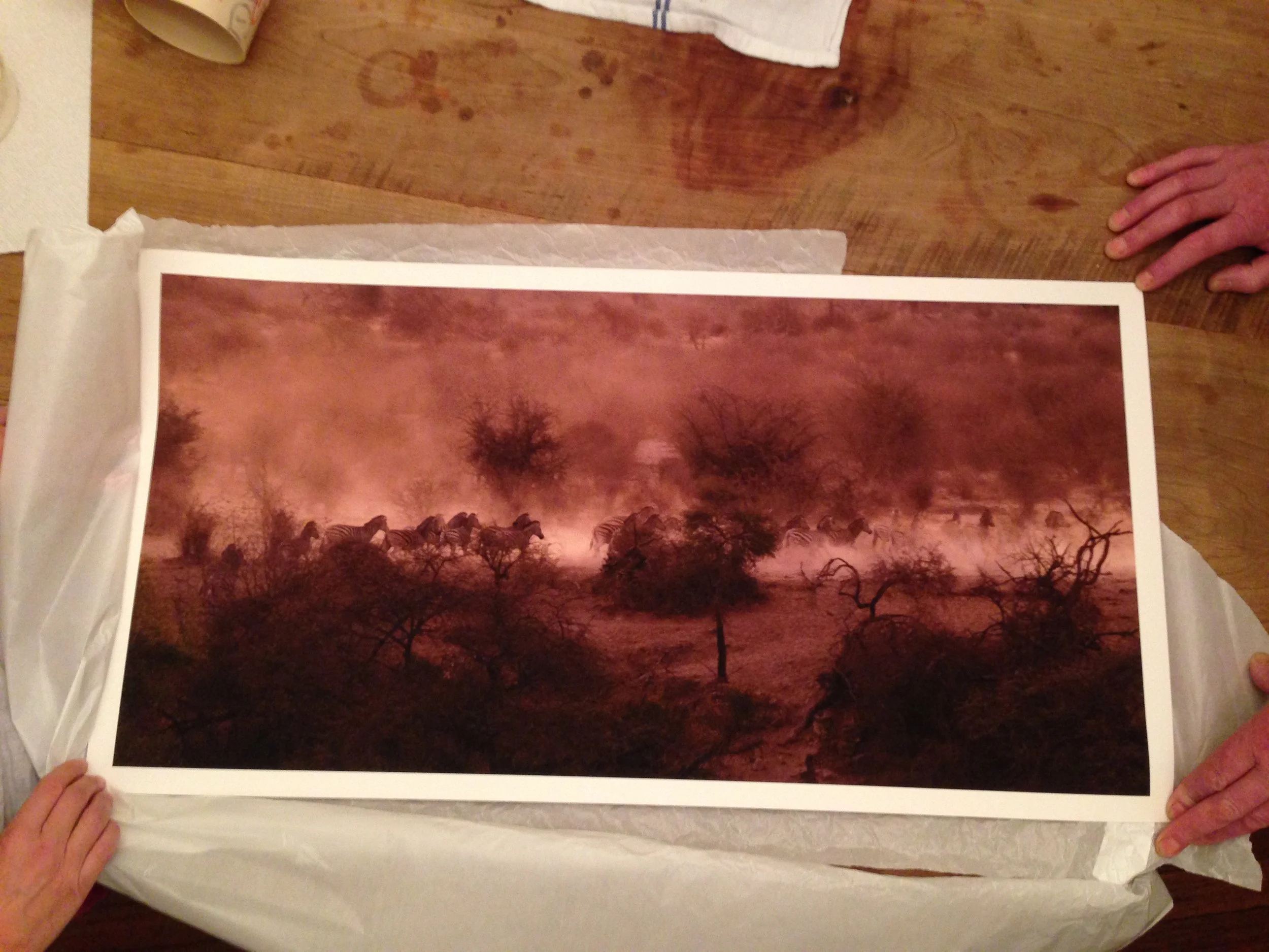 janaina-matarazzo-fine-art2014-10-09 20.43.06.jpg