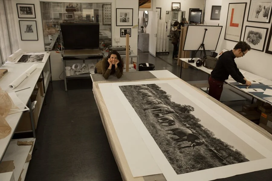 janaina matarazzo_Janaina Matarazzo elephant herd.jpg