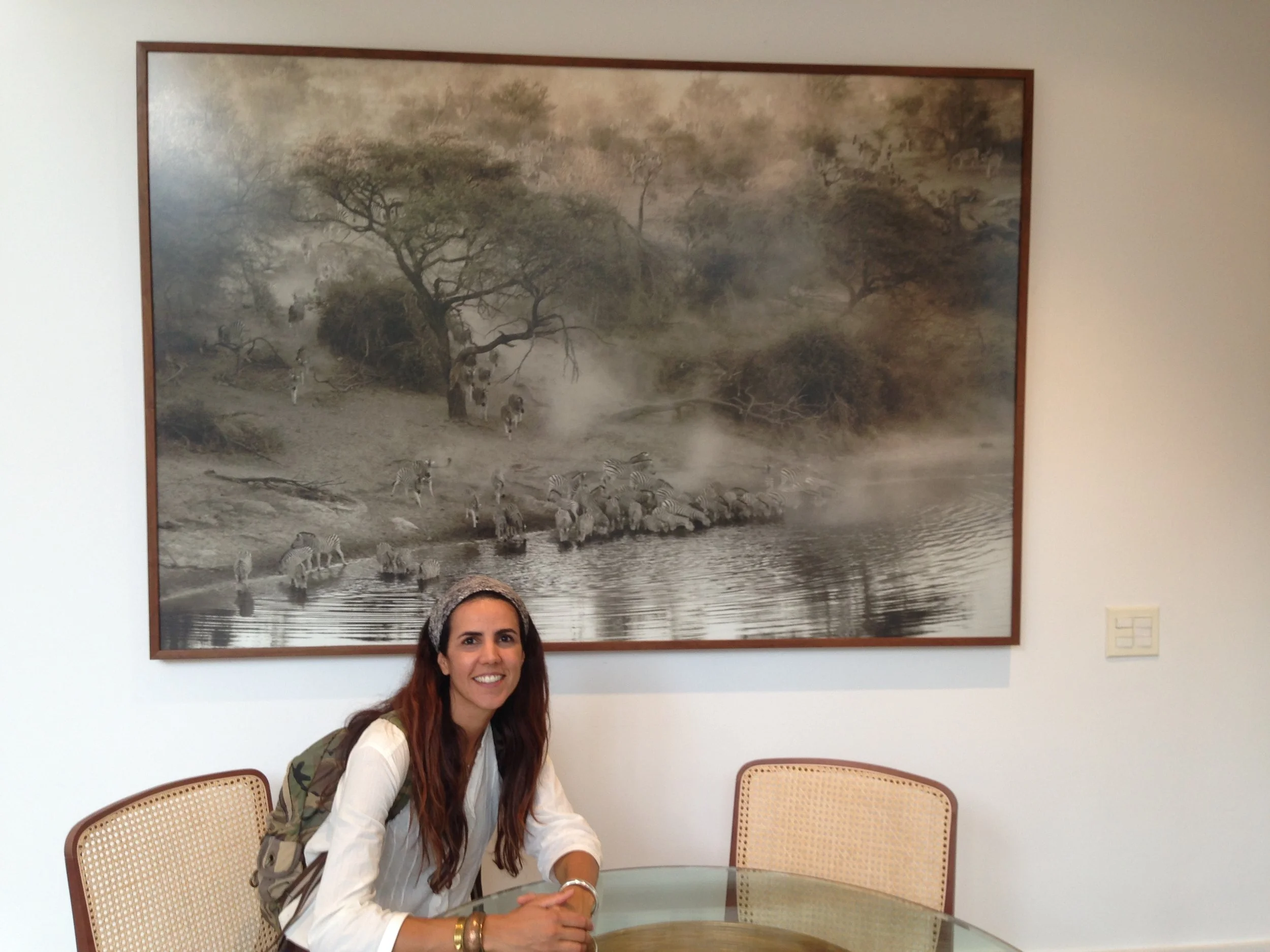 janaina-matarazzo-fine-art2015-02-02 18.42.03.jpg