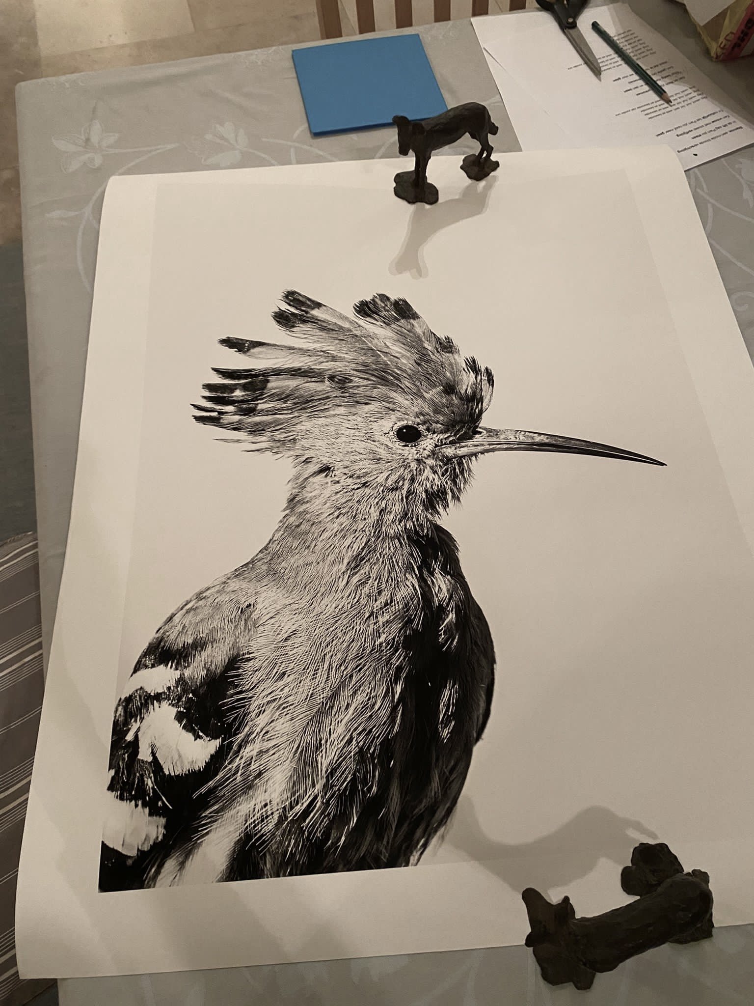 Janaina-Matarazzo-Harriet Bird 2.jpg