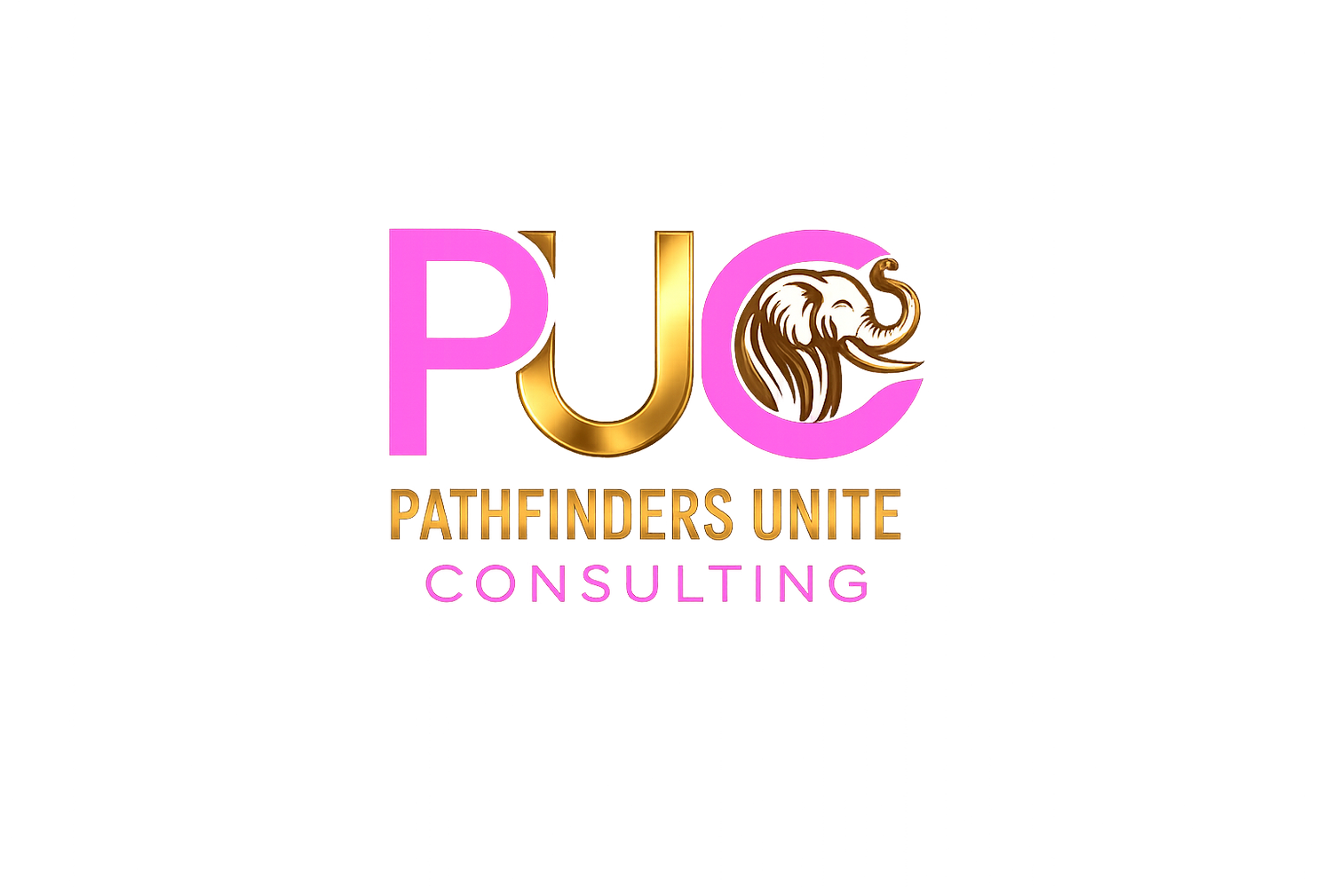 Pathfinders Unite Consulting LLC