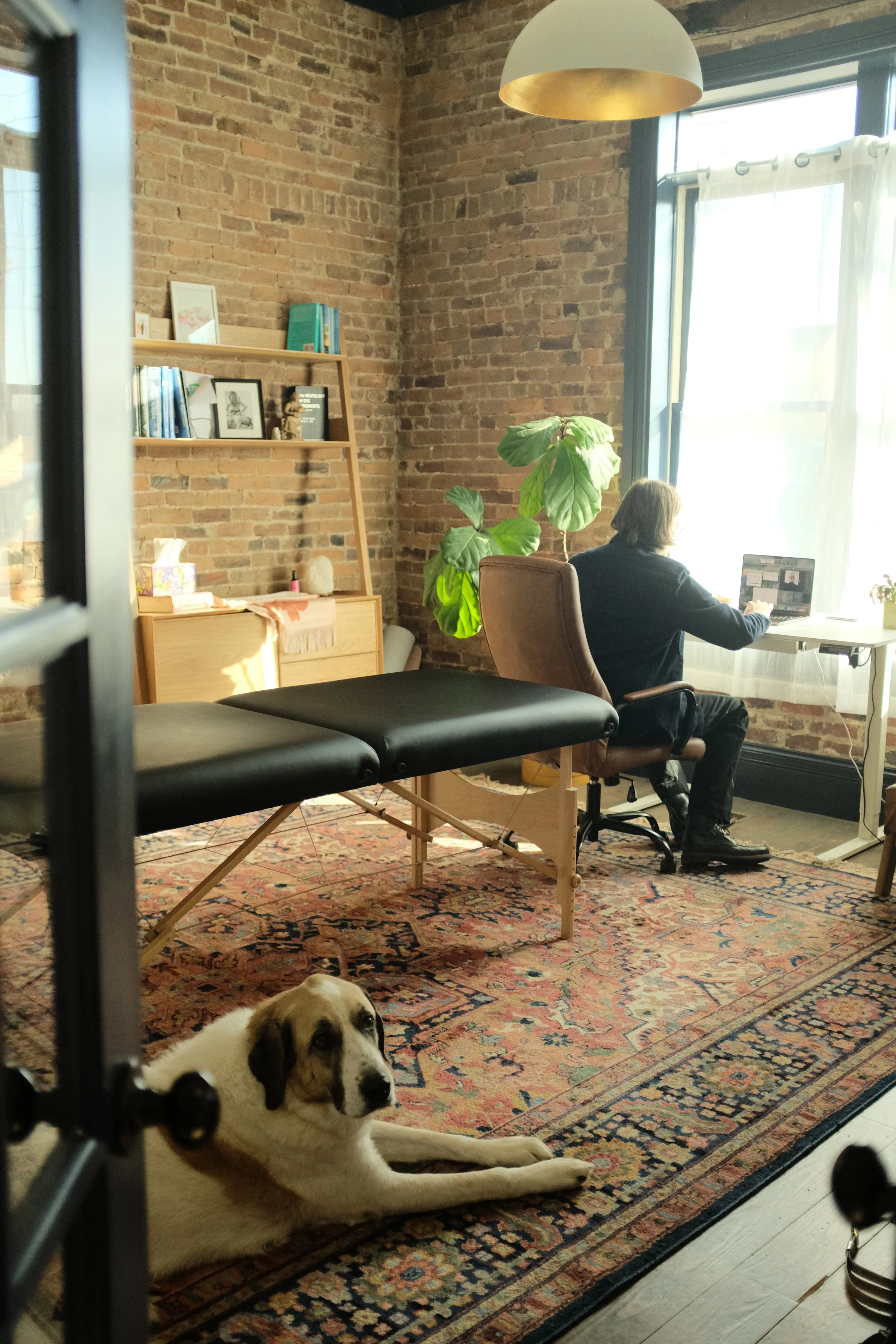A person working on a laptop at a white desk near a large window in a room with stormed brick walls, a plant, a bookshelf with framed photos, a black massage table, and a dog lying on a decorative rug.