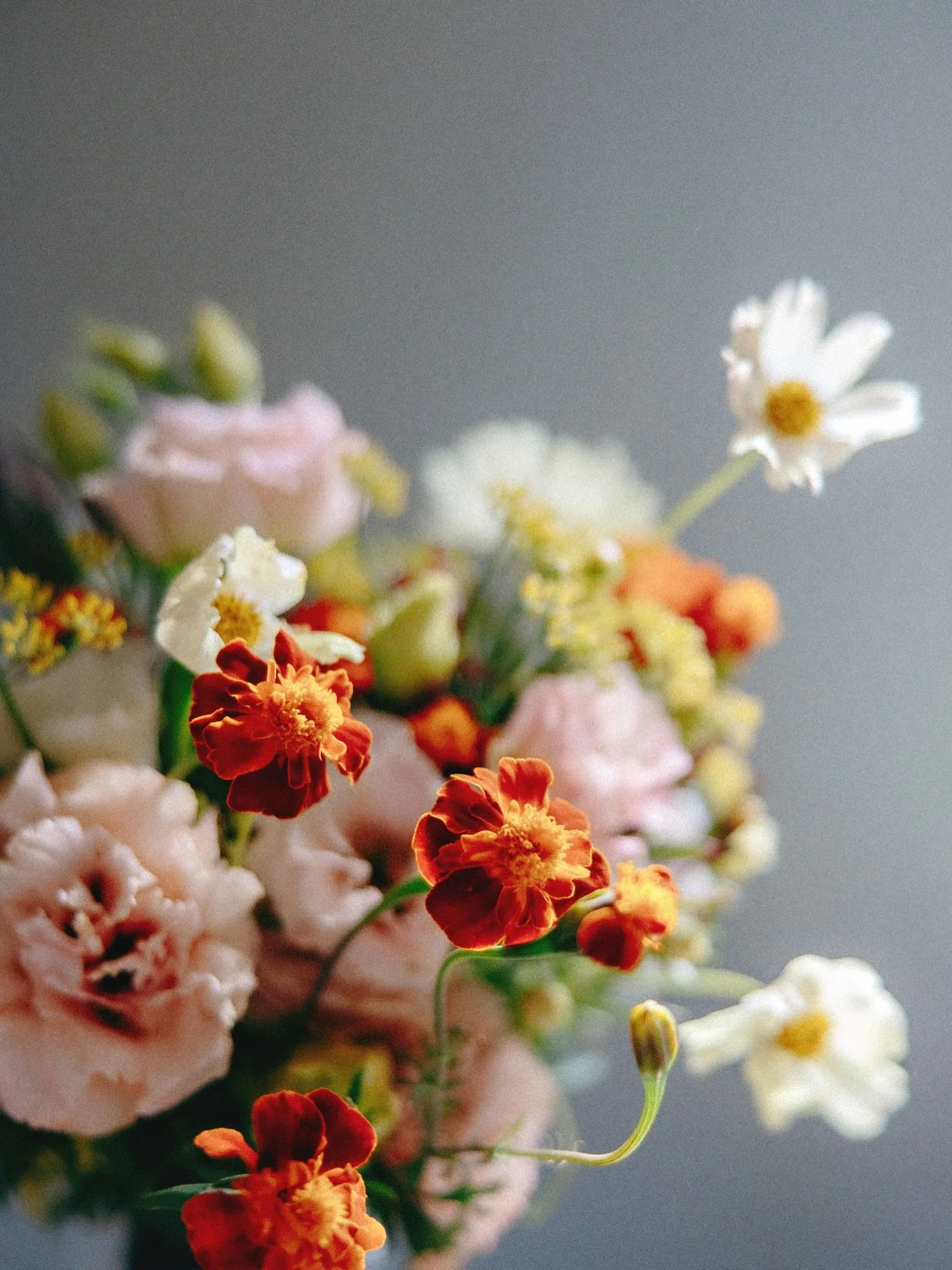 Happy New Year! I hope your 2026 is bright and beautiful 💐 by @urbandesertflora