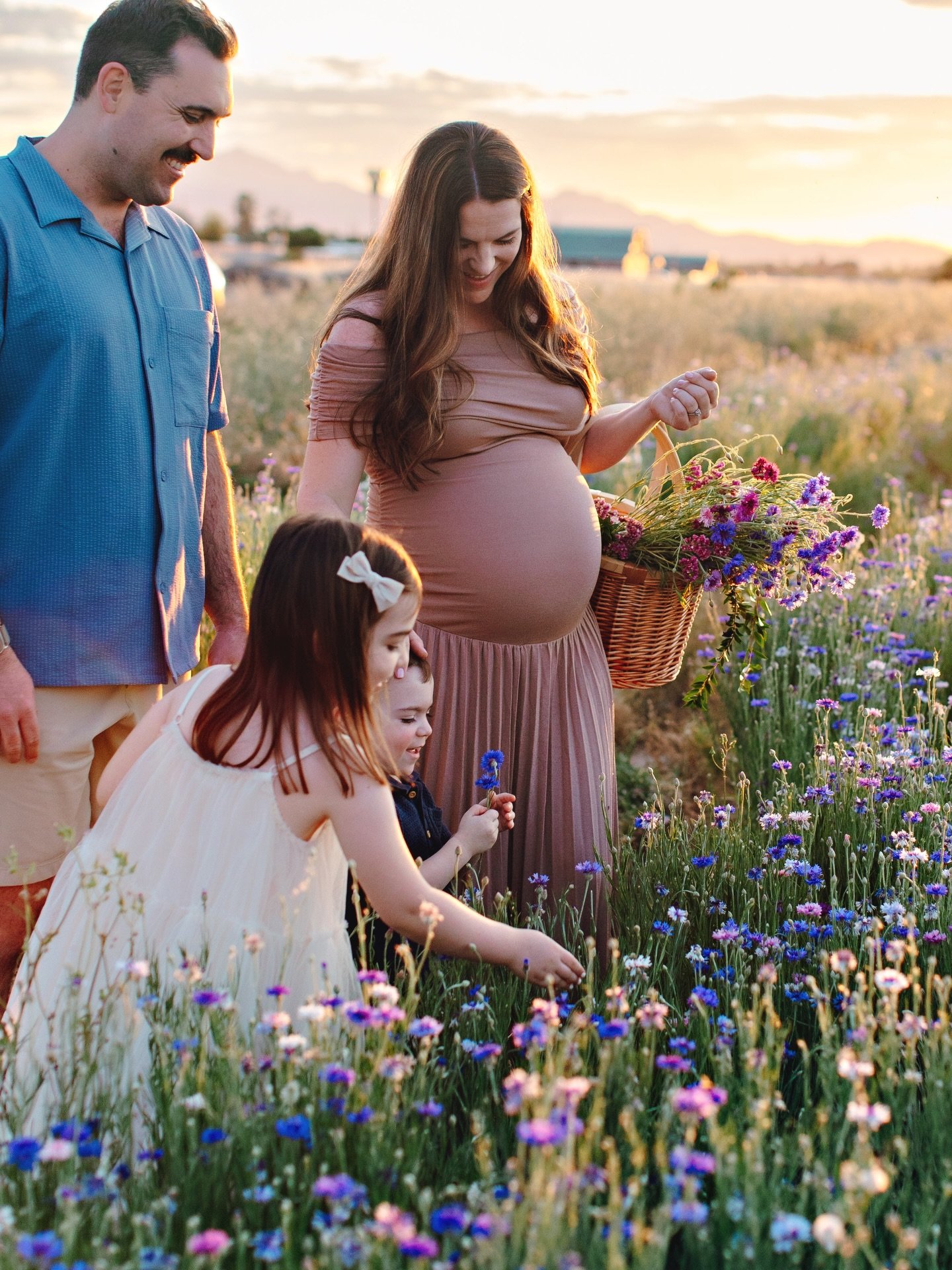 Sunset, blue flower fields, and the sweetest growing family&hellip; truly a dream session 🤍

Getting to document this season full of anticipation and so much love, reminds me why these moments matter so much.

With Mother&rsquo;s Day coming up, I&rs