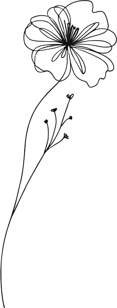 Blüte Illustration Lebendig