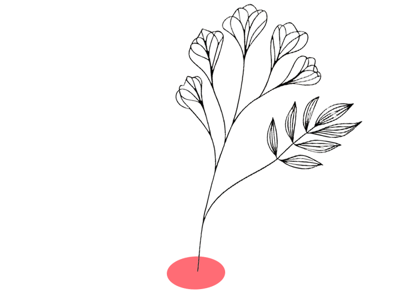 Blüten Illustration Teaser Coaching