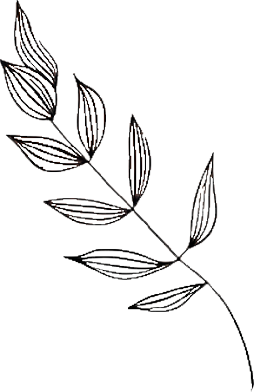 Blume Illustration Wachstum