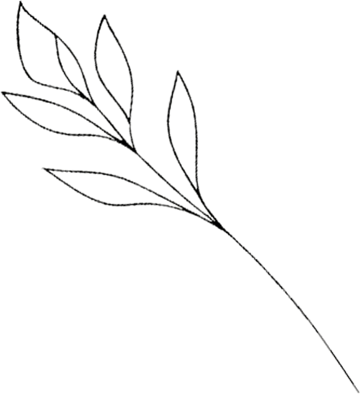 Illustration Blätter im Hintergrund des Prortraits