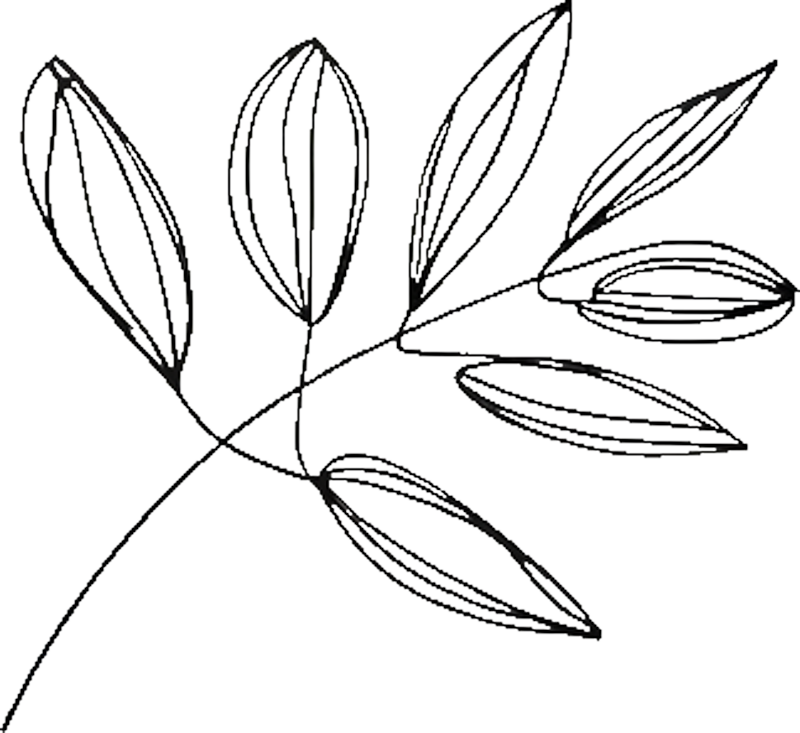Blätter Illustration Gemeinsam