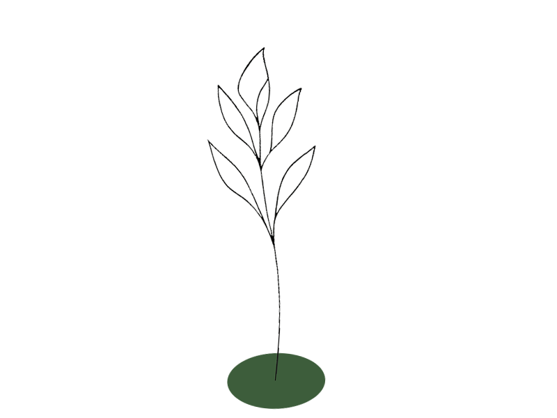 Helle Blätter Illustration Teaser Reha-Nachsorge